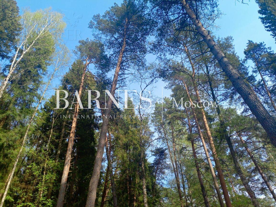 Участок 117 сот.