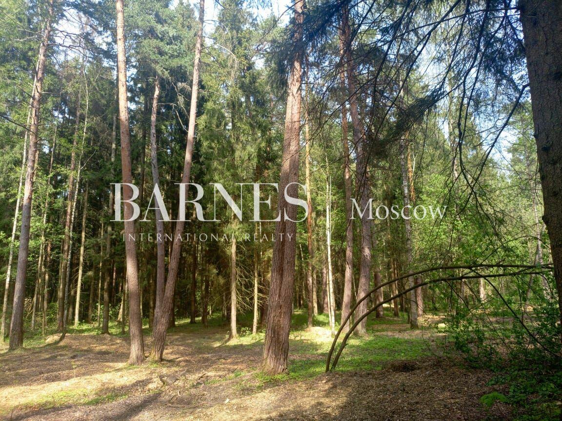 Участок 117 сот.