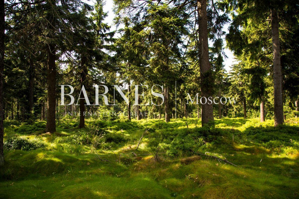 Участок 45 сот.