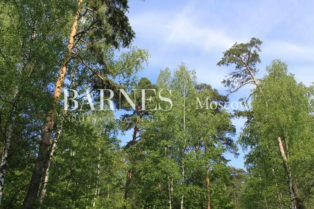 Участок 45 сот.