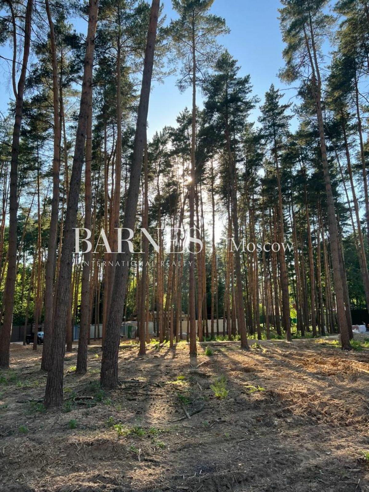 Участок 19 сот.