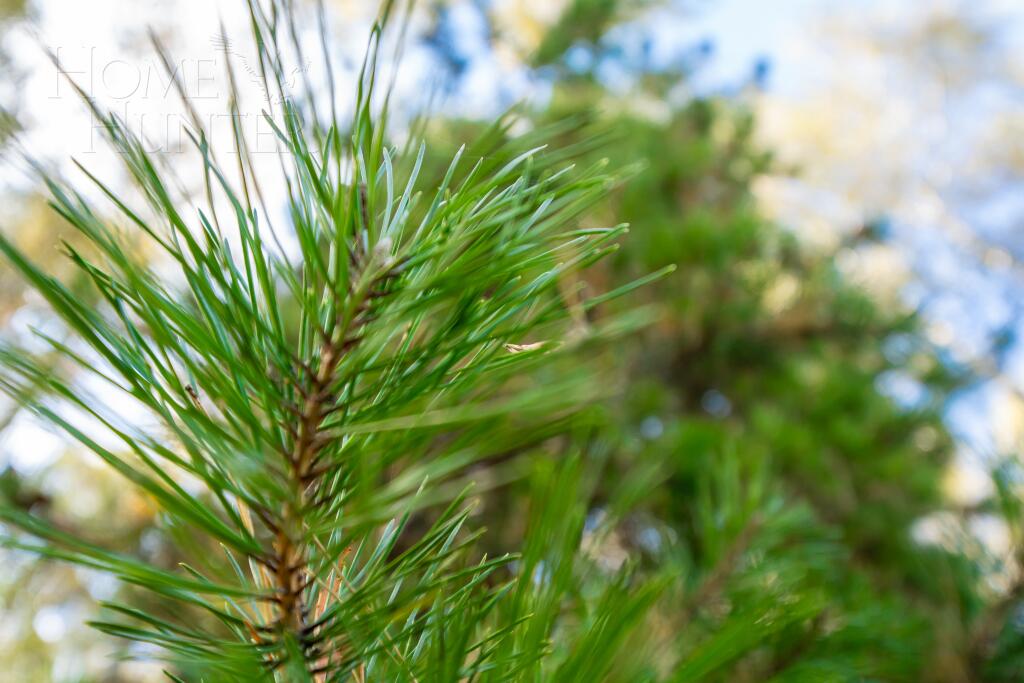 Участок 29 сот. в охраняемом поселке