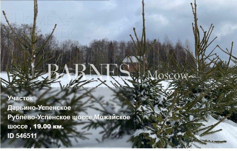 Участок 50 сот.