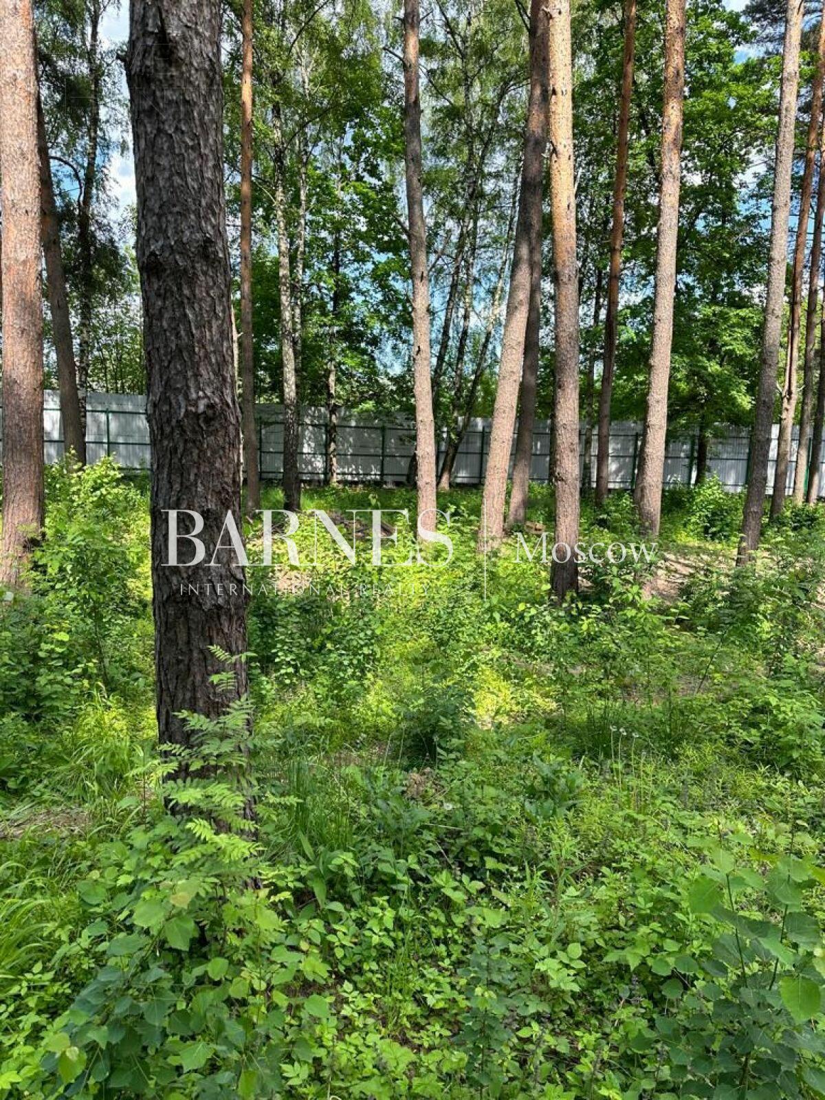 Участок 19 сот.