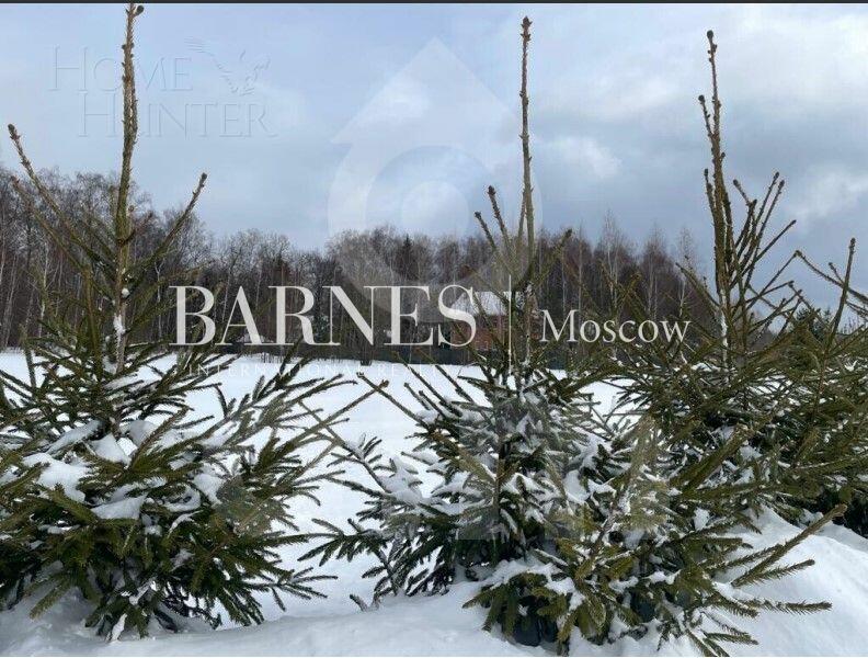 Участок 50 сот.