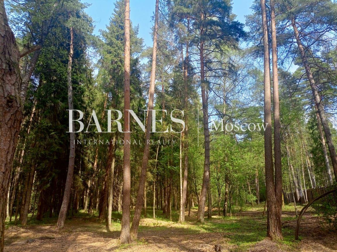 Участок 117 сот.