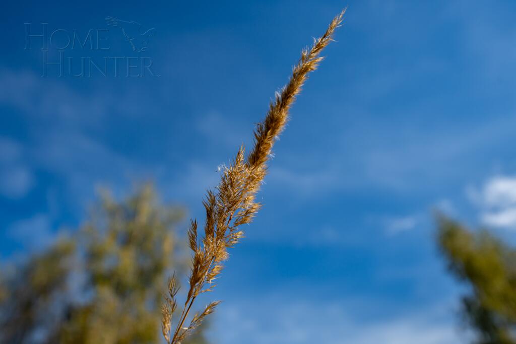 Участок 50 сот. в охраняемом поселке