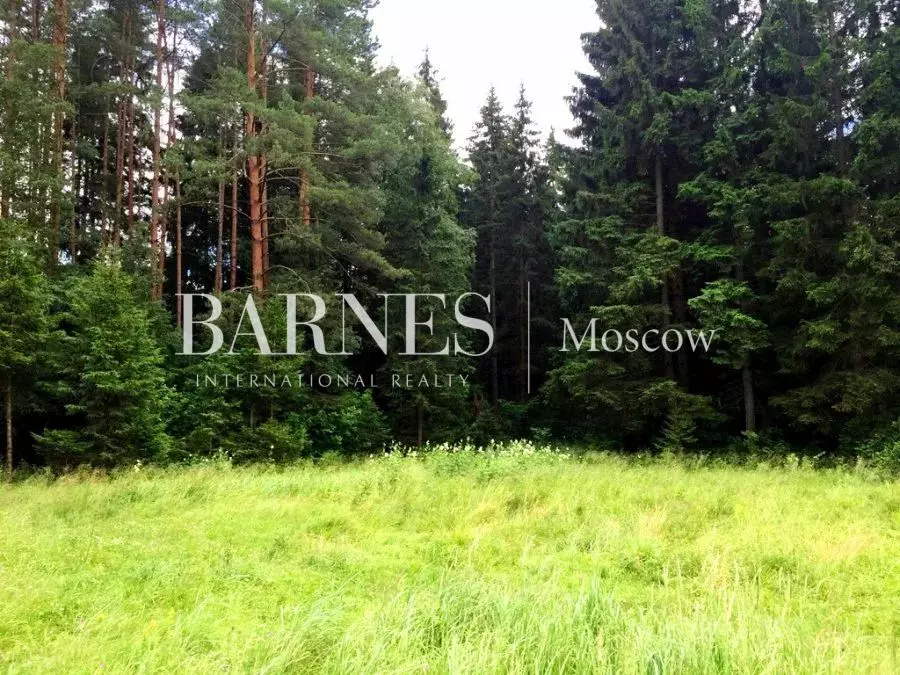 Участок 45 сот.