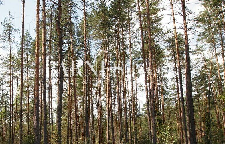 Участок 18 сот.