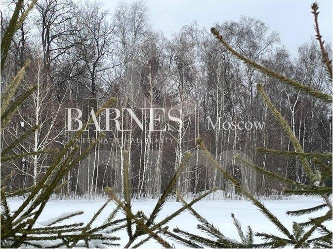 Участок 50 сот.