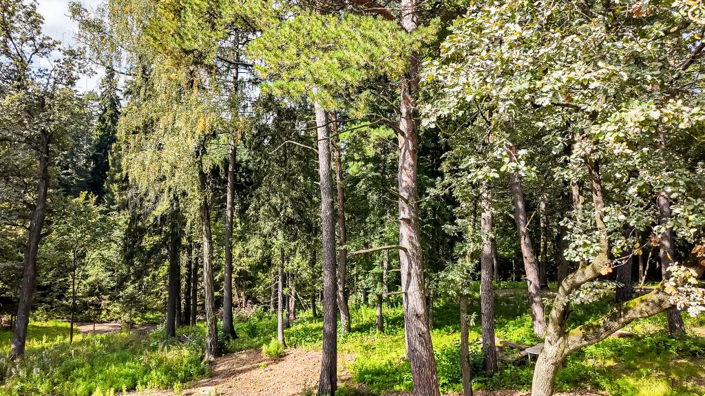 2-этажный коттедж 1 050 м² без отделки