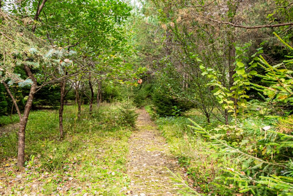 2-этажный коттедж 696 м² с отделкой