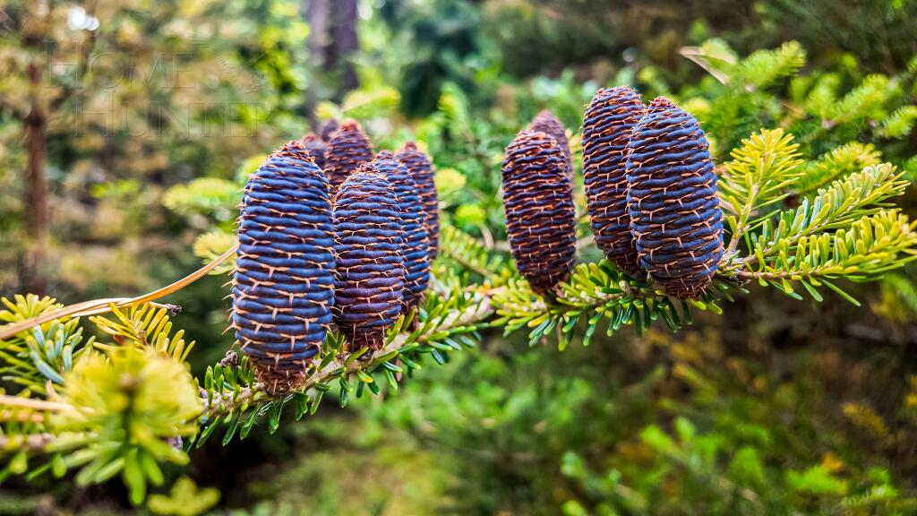 2-этажный коттедж 696 м² с отделкой