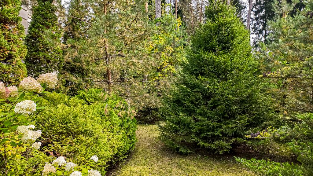 2-этажный коттедж 696 м² с отделкой