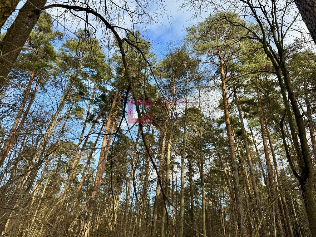 2-этажный коттедж 1 200 м² без отделки