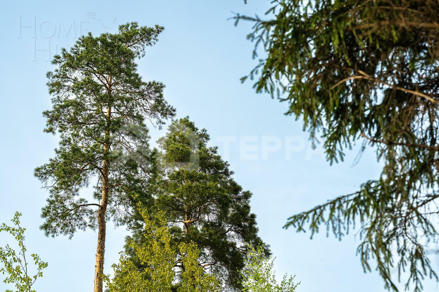 Участок 12 сот. в охраняемом поселке