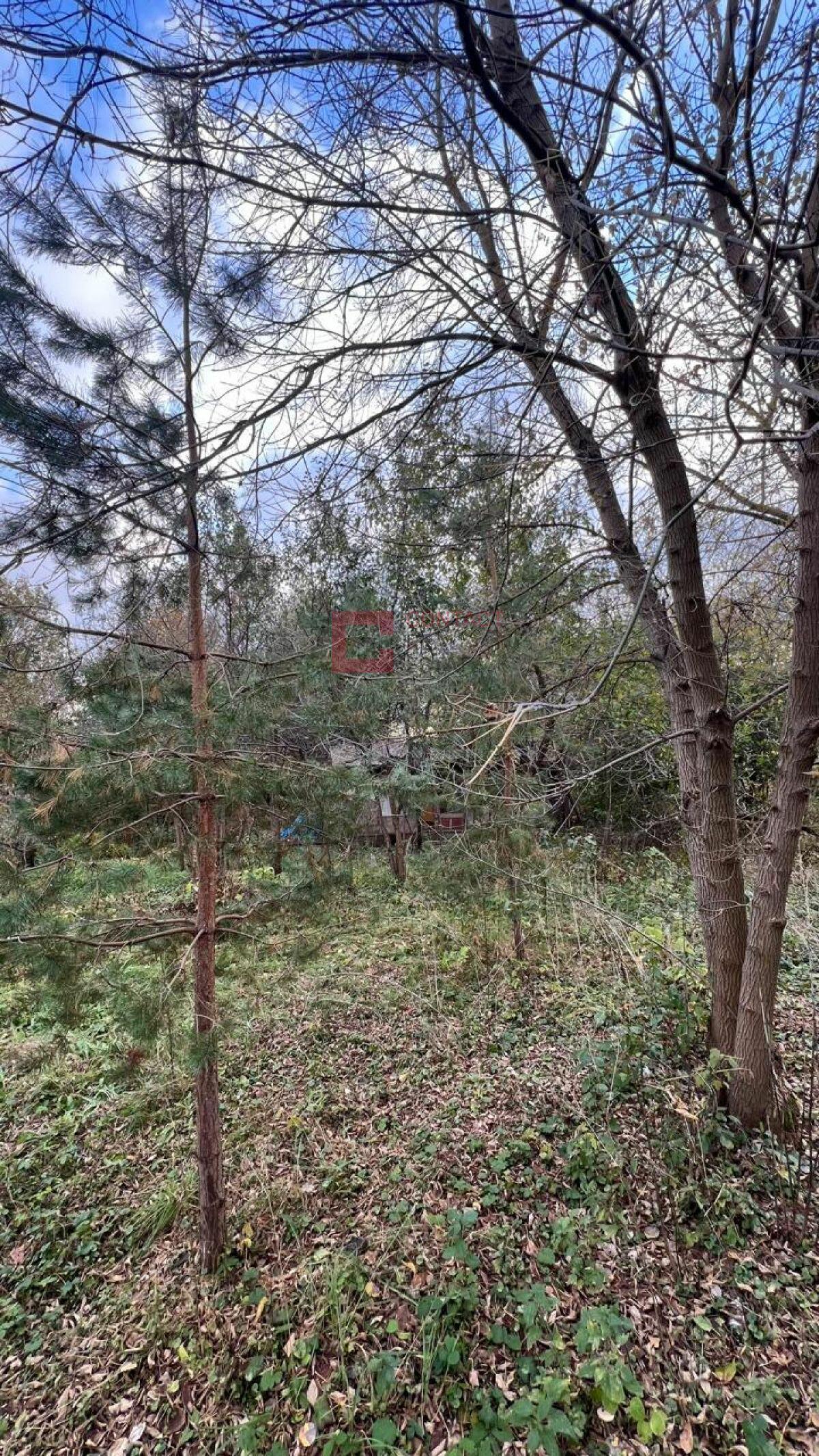 Участок 19 сот. в охраняемом поселке