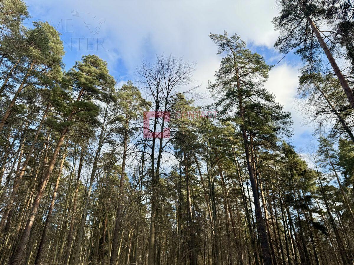 Участок 40 сот.