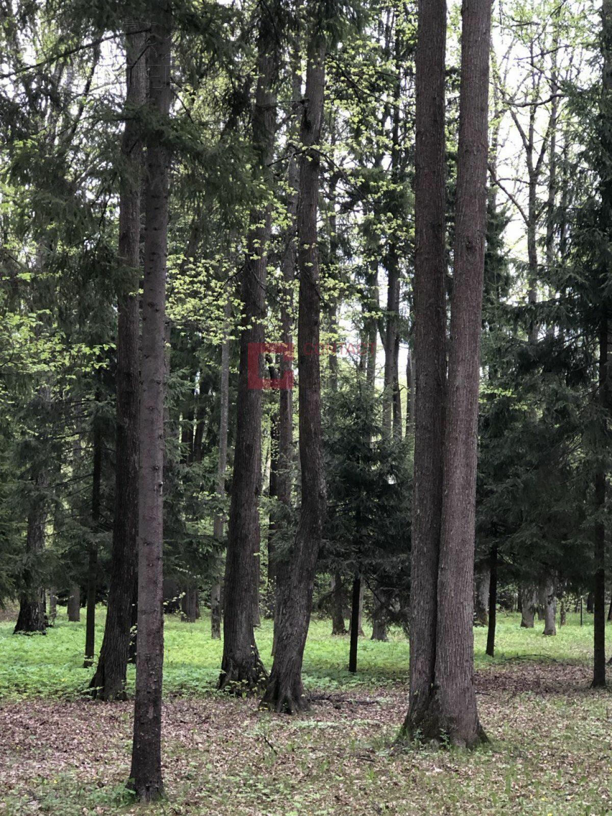 Участок 44 сот. в охраняемом поселке