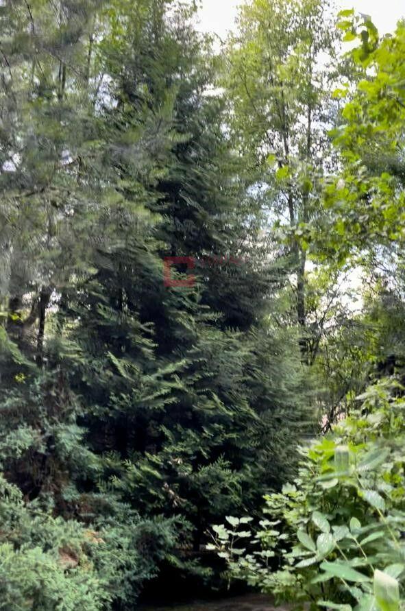 Участок 40 сот. в охраняемом поселке