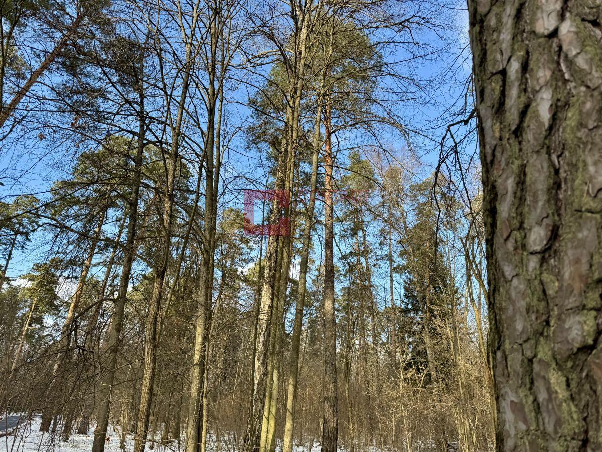 2-этажный коттедж 1 200 м² без отделки