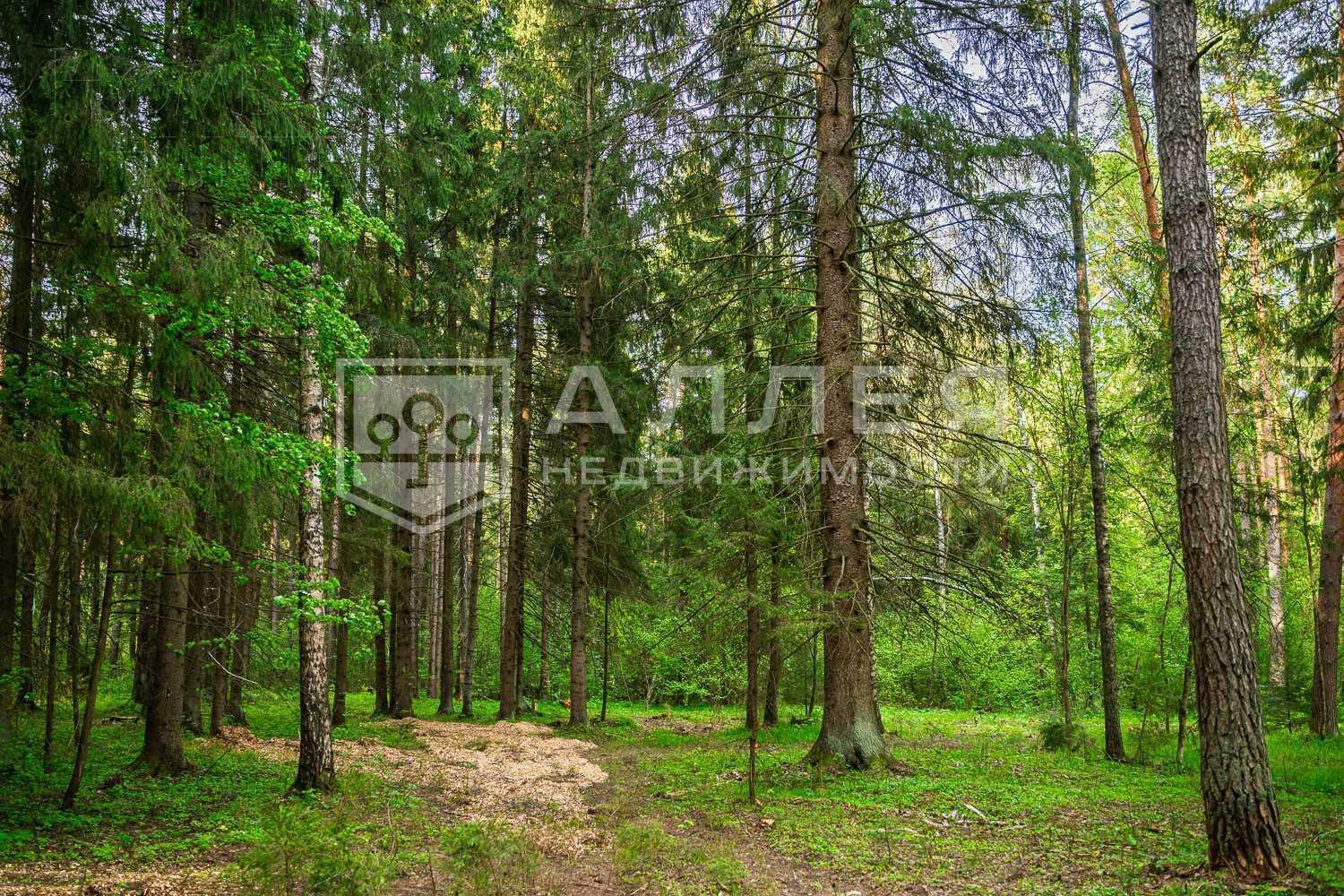 Участок 50 сот. в охраняемом поселке