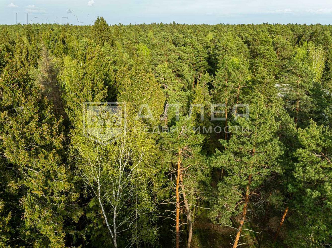 Участок 50 сот. в охраняемом поселке