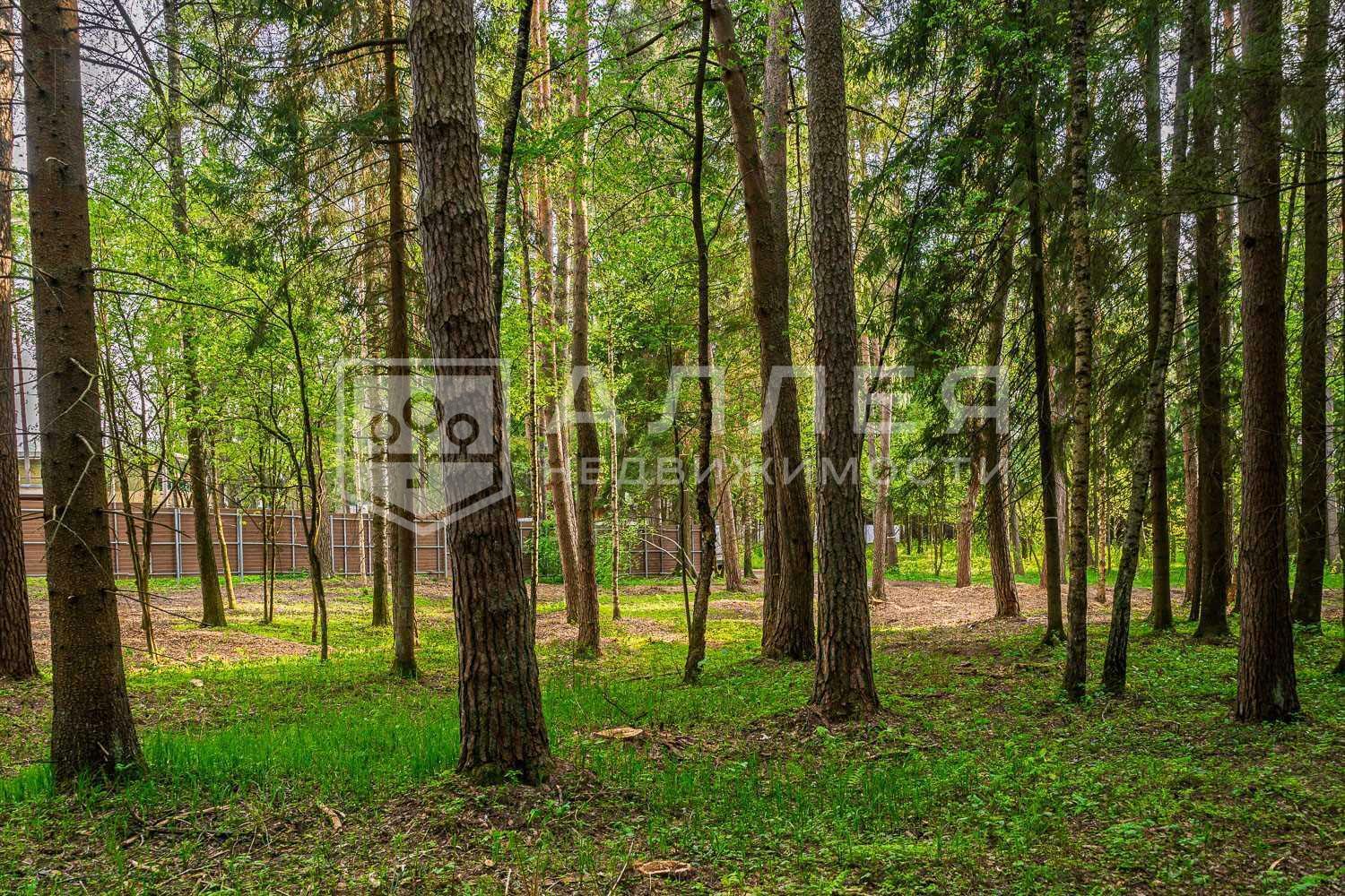 Участок 50 сот. в охраняемом поселке