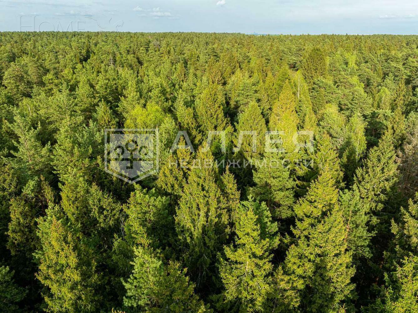 Участок 50 сот. в охраняемом поселке