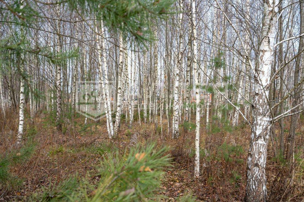 Участок 21.91 сот. в охраняемом поселке