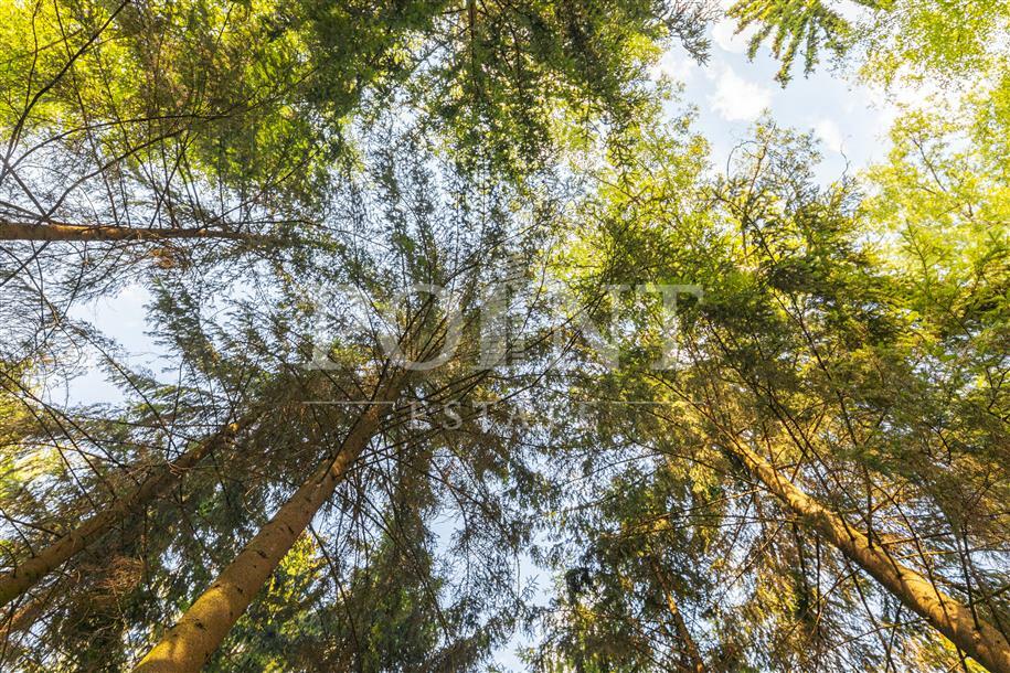 Участок 51 сот. в охраняемом поселке