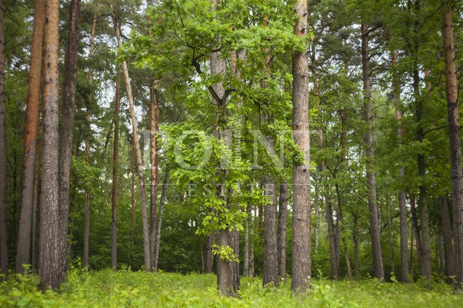 Участок 10 сот. в охраняемом поселке