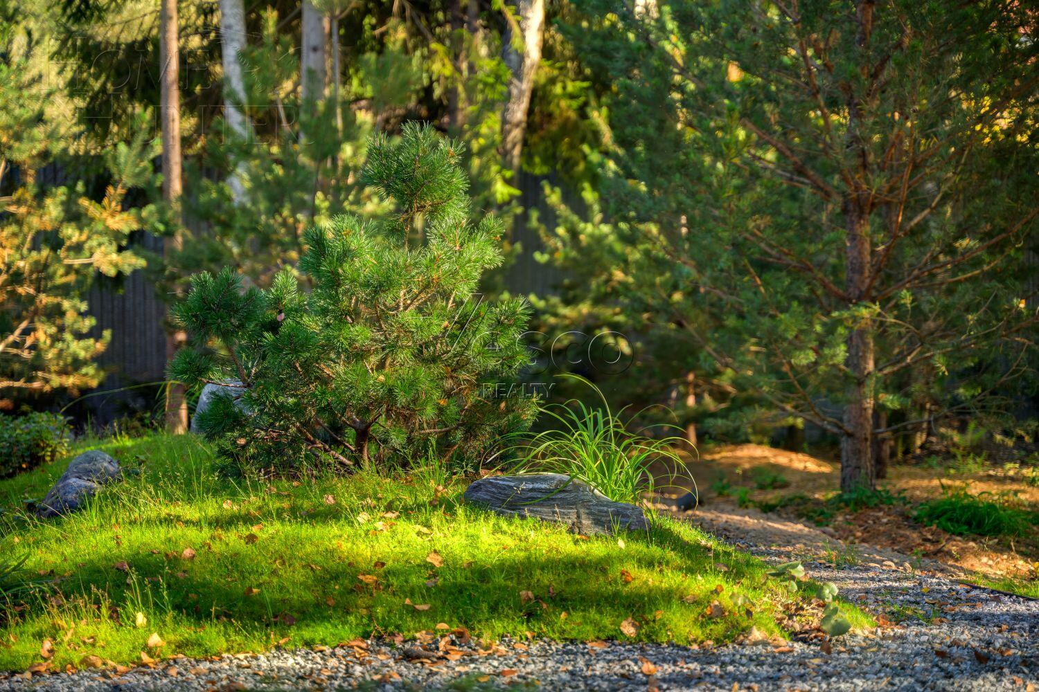 1-этажный коттедж 302 м² с отделкой