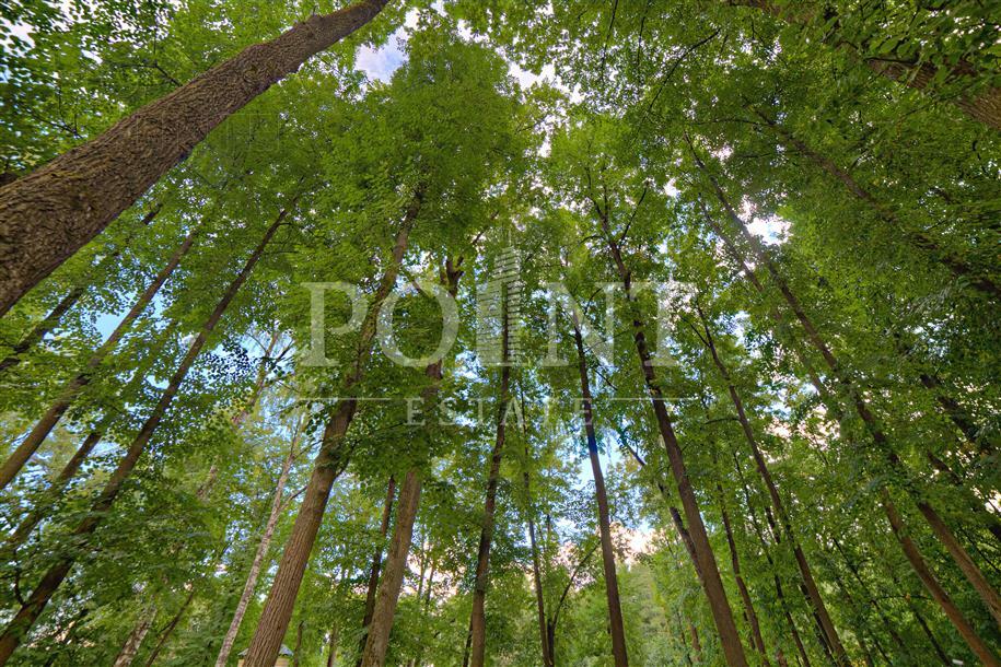 Участок 10 сот. в охраняемом поселке