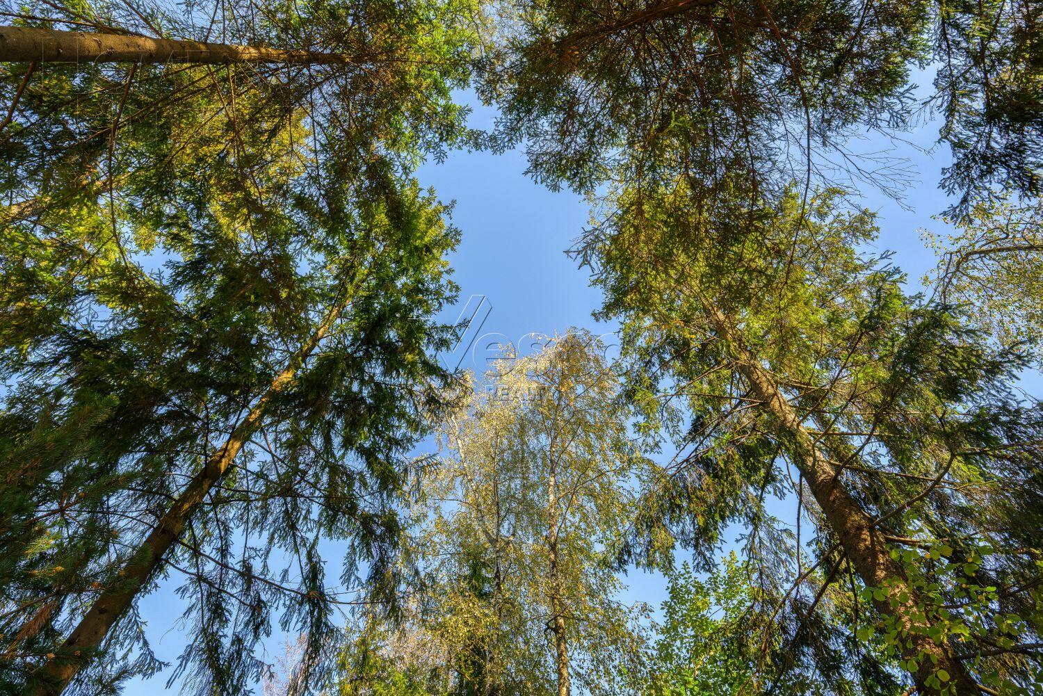 1-этажный коттедж 302 м² с отделкой