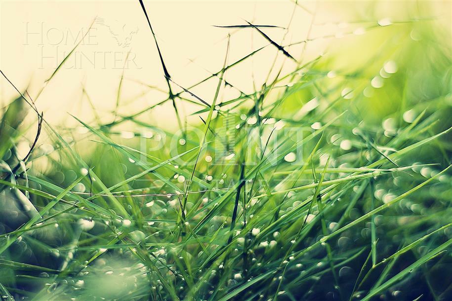 Участок 16 сот. в охраняемом поселке