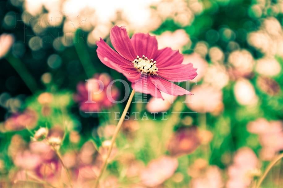 Участок 16 сот. в охраняемом поселке