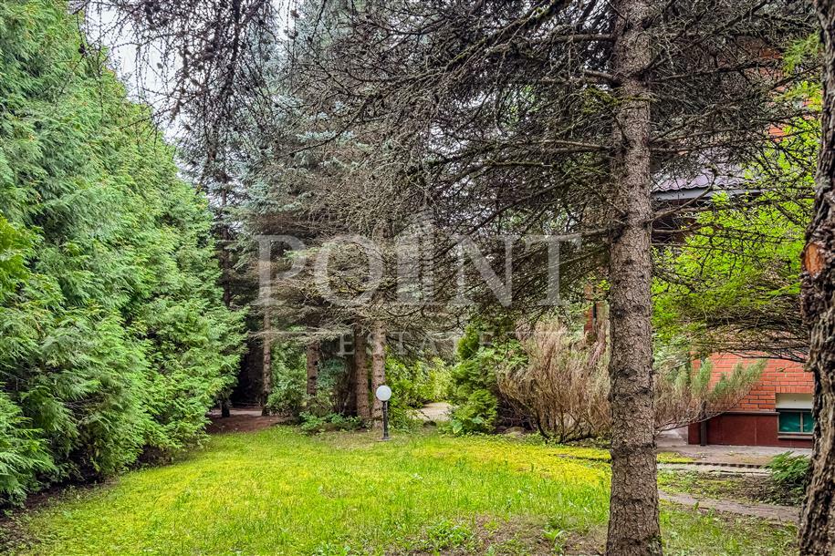 Участок 39.05 сот.