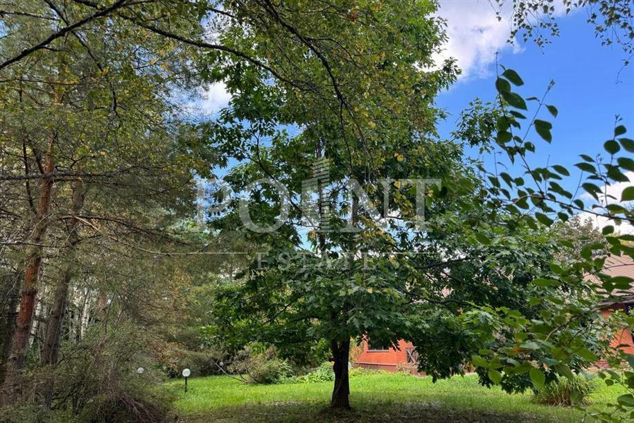 Участок 39.05 сот.