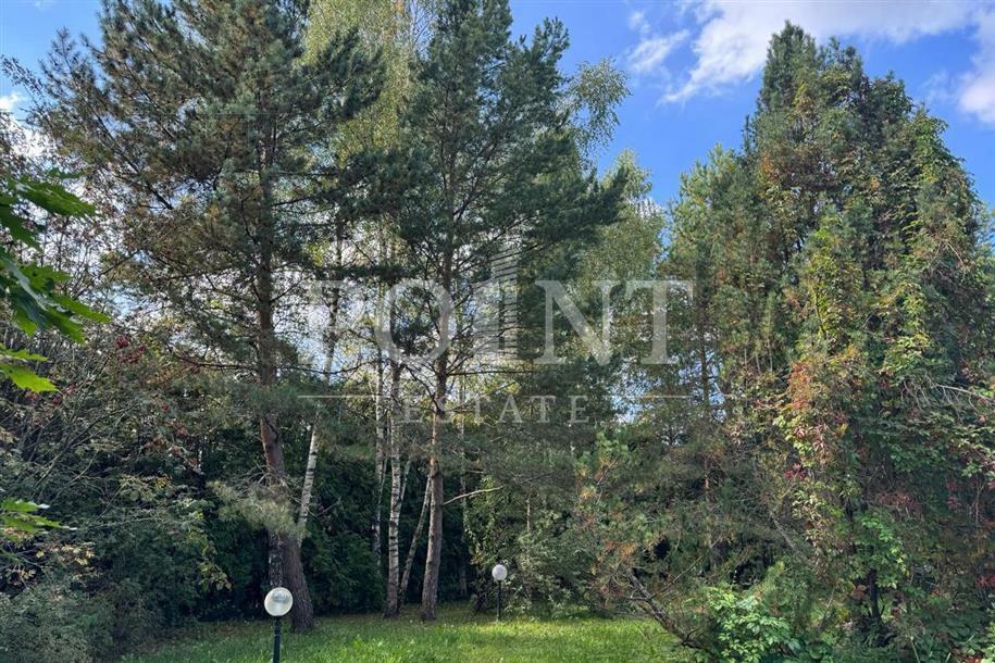 Участок 39.05 сот.