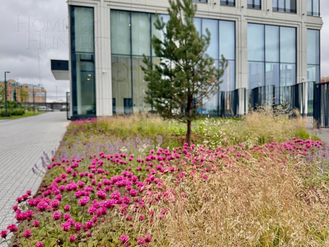 1-КОМН. КВАРТИРА БЕЗ ОТДЕЛКИ 50 М² НА 1 ЭТАЖЕ