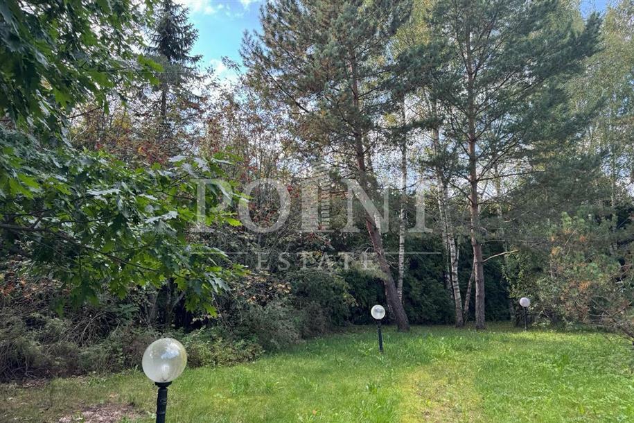 Участок 39.05 сот.