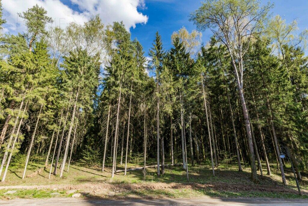 2-этажный коттедж 520 м² без отделки
