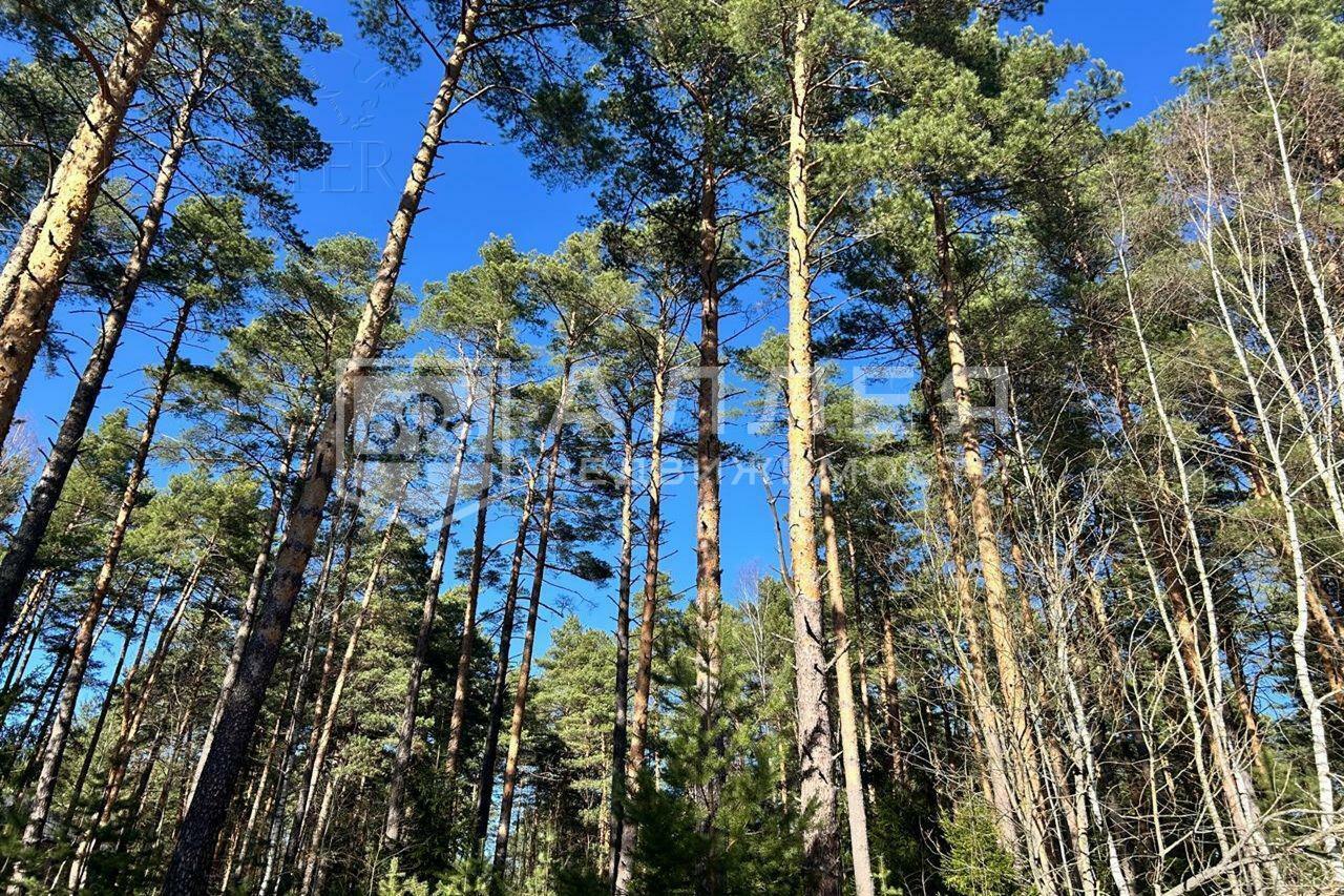 Участок 50 сот. в охраняемом поселке