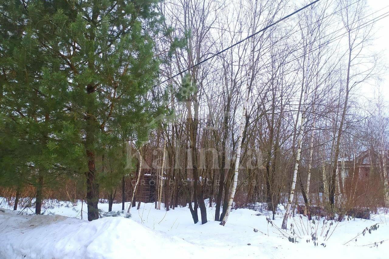 Участок 31 сот.