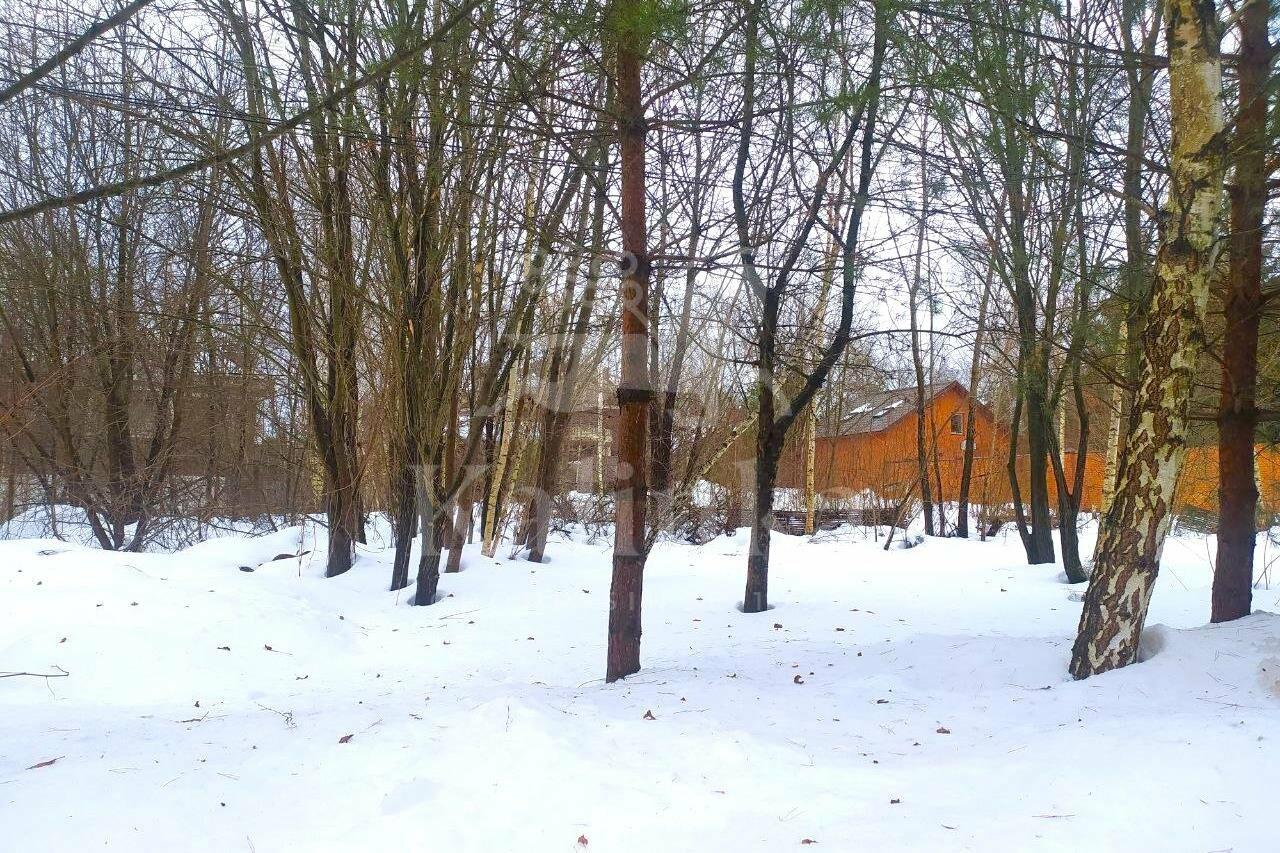 Участок 31 сот.