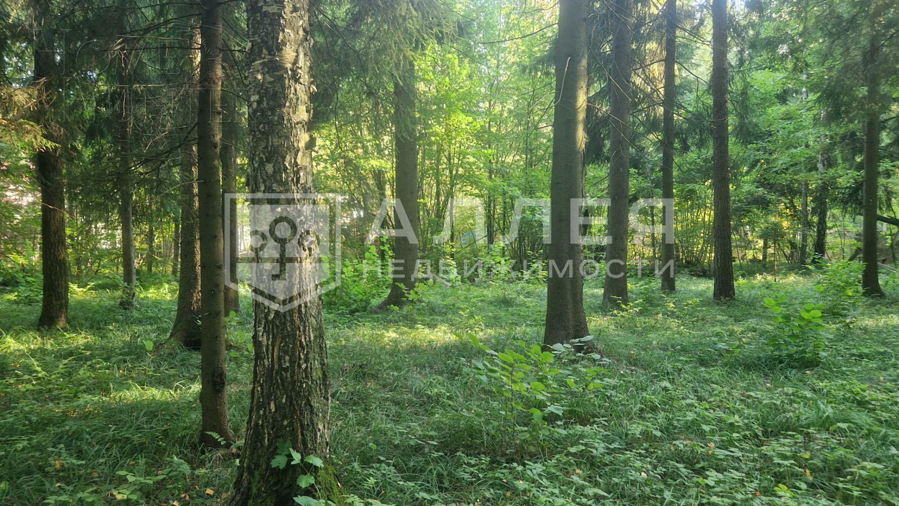 Участок 50 сот. в охраняемом поселке