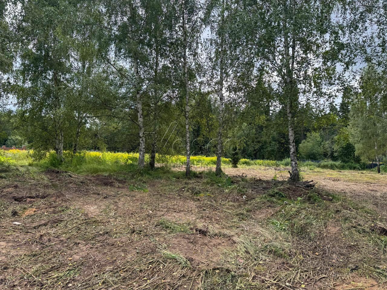 Участок 20 сот.