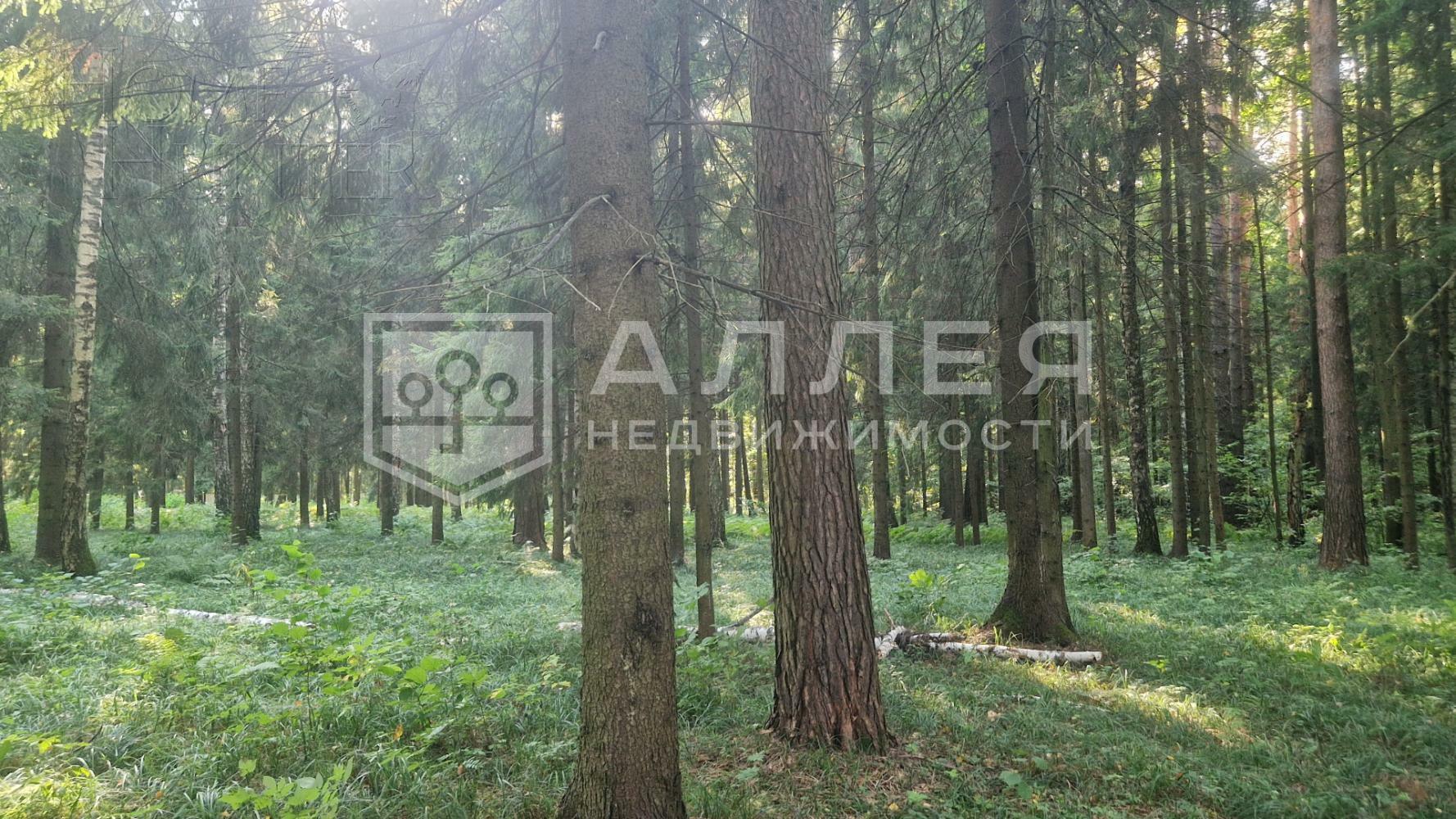 Участок 50 сот. в охраняемом поселке