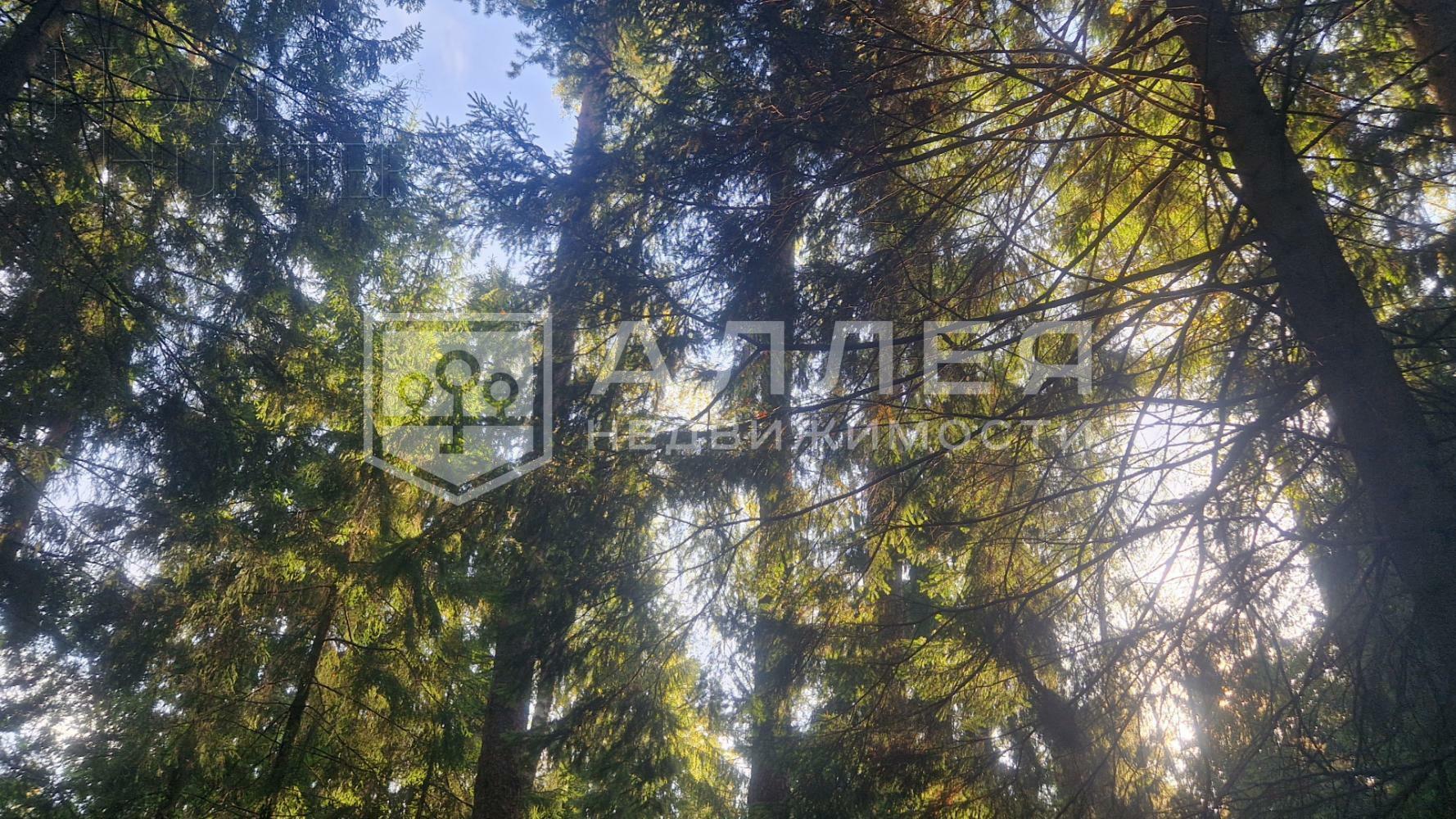 Участок 50 сот. в охраняемом поселке